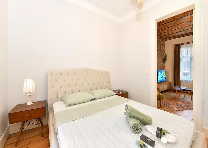 Charming Flat Retro Design Ac Galata