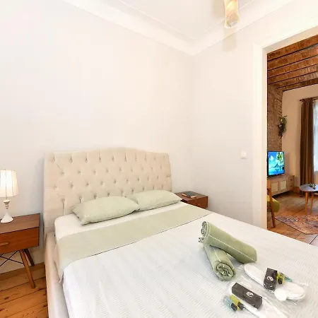 Charming Flat Retro Design Ac Galata