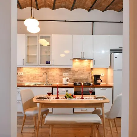 Charming Flat Retro Design Ac Galata Apartman